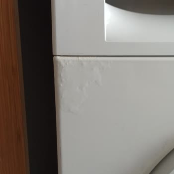 Bosch Çamaşır Makinesinin Ön Panelindeki Küflenme Sorunu Ve Değişim Talebi