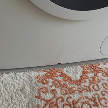 Bosch Çamaşır Makinesinin Ön Panelindeki Küflenme Sorunu Ve Değişim Talebi