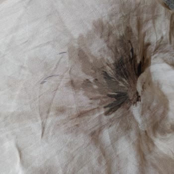 Camellia Scarfs Şalının İlk Kullanımda Deforme Olması Ve İade Talebi