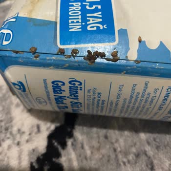 Şok Market'te Bozuk Ve Böcekli Süt Gönderimi Ve Tehdit Edici Mağaza Davranışı