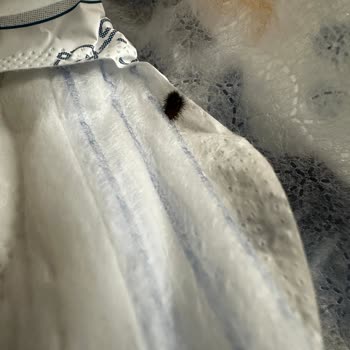 Sleepy Kadın Pedi Hijyeninde Böcek Ve Yabancı Madde