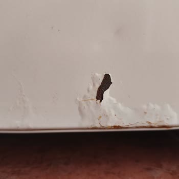 Garanti Kapsamındaki Buzdolabı Kapak Paslanması Ve Boya Dökülmesi Ücretli Onarıma Red