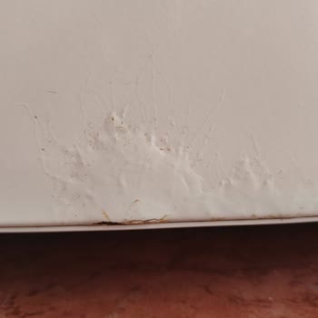 Garanti Kapsamındaki Buzdolabı Kapak Paslanması Ve Boya Dökülmesi Ücretli Onarıma Red