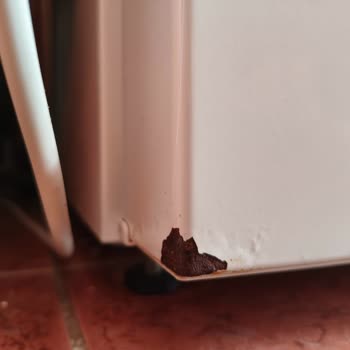 Garanti Kapsamındaki Buzdolabı Kapak Paslanması Ve Boya Dökülmesi Ücretli Onarıma Red