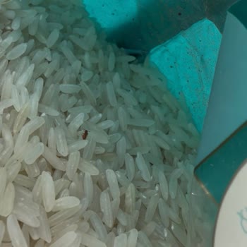 Migros'tan Satın Alınan Böcekli Pirinçte Gıda Güvenliği İhlali