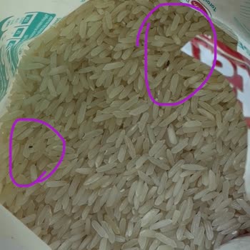 Migros'tan Satın Alınan Böcekli Pirinçte Gıda Güvenliği İhlali