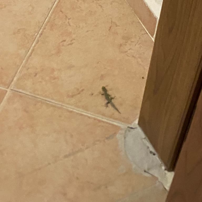 Miki Tur’da Gizli Ekstra Ücretler Ve Otel Hijyen Sorunları Nedeniyle Ciddi Mağduriyet