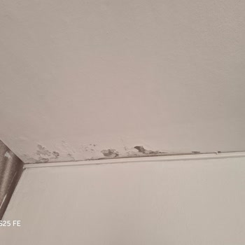 Rutubetli Ve Hijyensiz Odalar, Kalitesiz Yemekler: Denetim Talebi