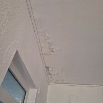 Rutubetli Ve Hijyensiz Odalar, Kalitesiz Yemekler: Denetim Talebi
