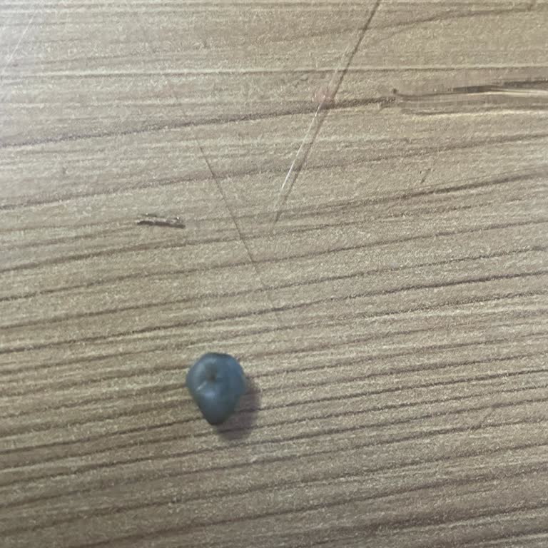 Eti Canga Çikolatası İçindeki Taş Çocuğumun Güvenliğini Tehdit Etti