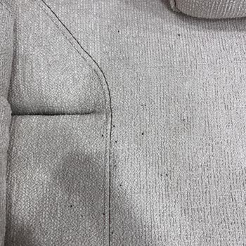 Defolu Koltuk Ve Canlı Fare Sorunu Hijyen Krizi
