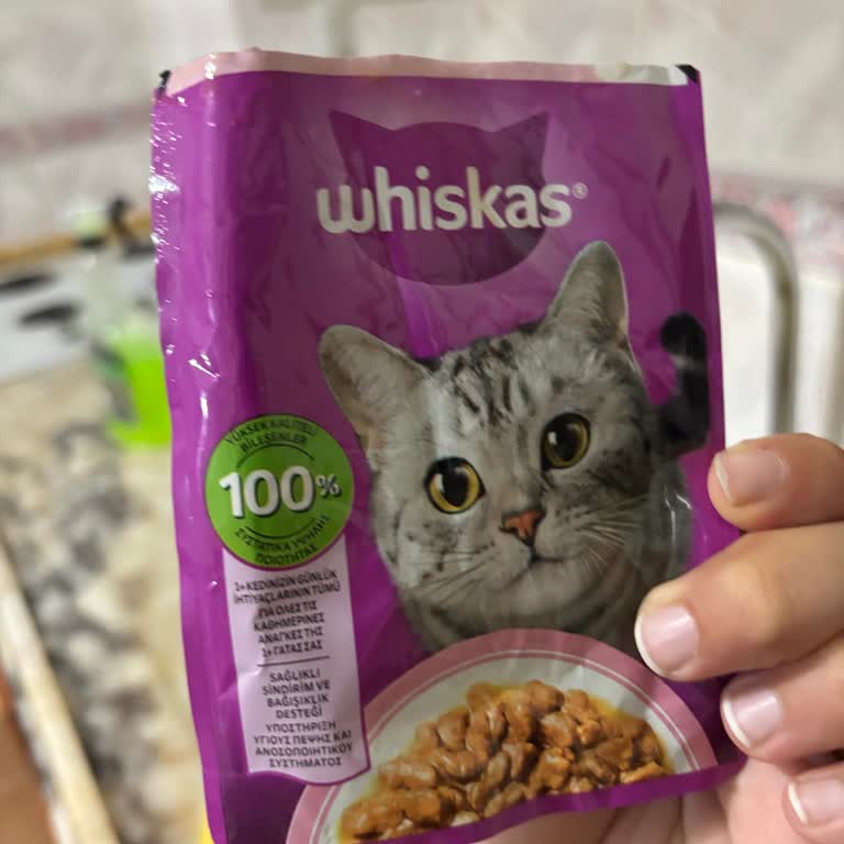 Whiskas Yaş Kedi Maması Sonrası Kedimde Şiddetli Kusma Ve Sağlık Endişesi