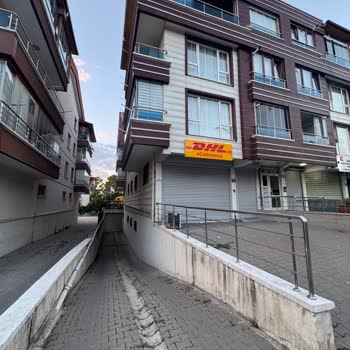 DHL Tuzluçayır Şubesi Ağaç Dallarını Komşu Garajına Bıraktı Ve Uygunsuz Tutum Sergiledi