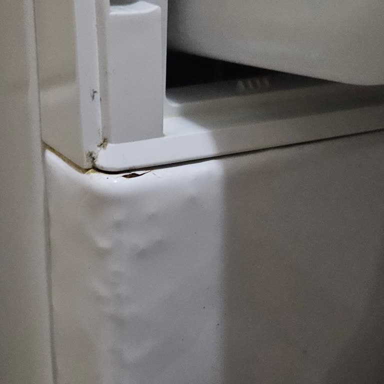 Profilo Çamaşır Makinesinde Tekrarlayan Pas Ve Kabarma Sorunu