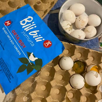 BİM'de Bozuk Yumurta Ve Çözüm Eksikliği