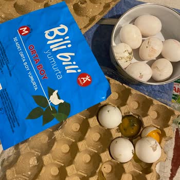 BİM'de Bozuk Yumurta Ve Çözüm Eksikliği