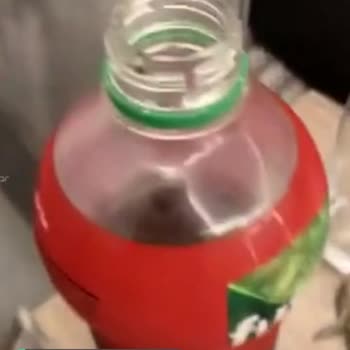 Fuse Tea İçecek İçinden Çıkan Nesne!