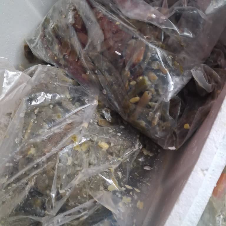 İç Barbunya Yerine Bozulmuş Börülce Gönderildi, Müşteri Hizmetleri Yanıtsız
