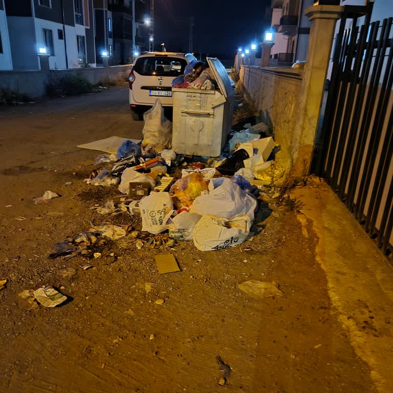Serhat Sokakta Çöp Konteyner Yetersizliği Ve Sağlık Riski