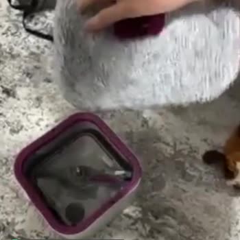 Parex Mop Bezinin Yapışmaması