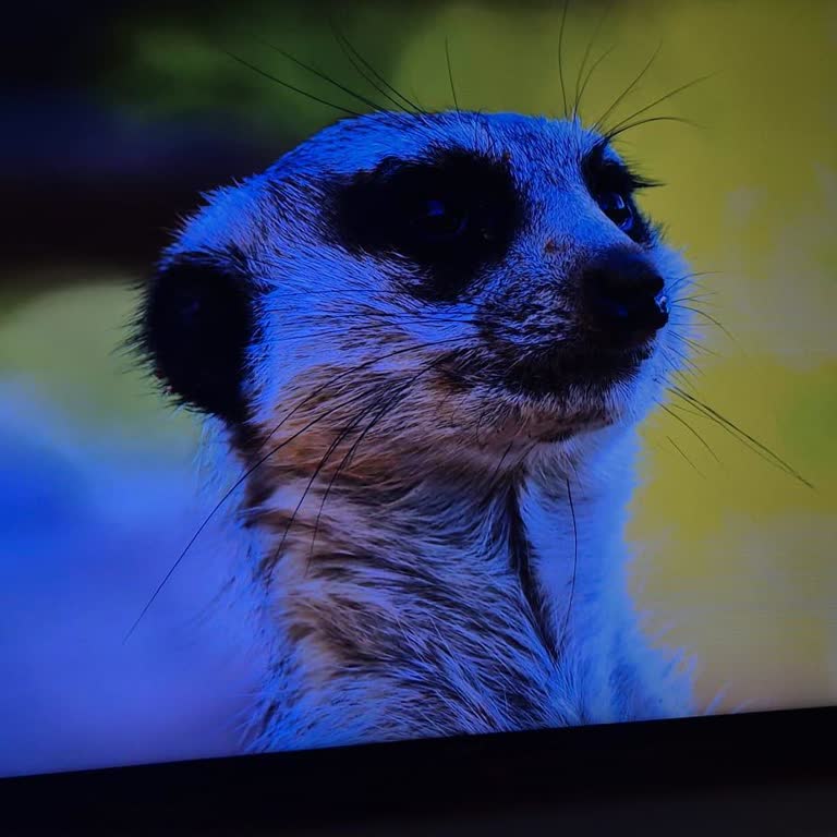 Vestel TV Panel Arızası Tekrarlandı, 13.500 TL Ücret Talebi Haksız