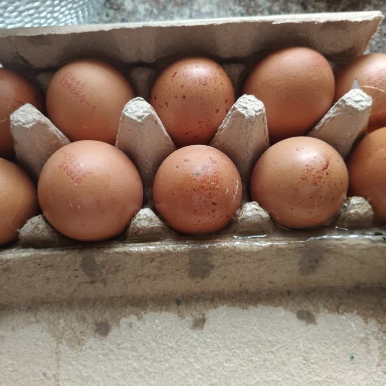 Kırık Yumurtanın Değişimi İçin Uzun Süre Bekleme Ve Müşteri Hizmetindeki İlgisizlik