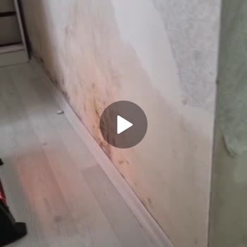 Neova Sigorta'da Uzun Süreli Hasar Talebi Cevapsızlığı