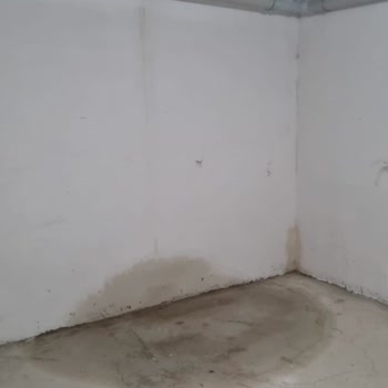 Neova Sigorta'da Uzun Süreli Hasar Talebi Cevapsızlığı