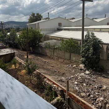 Çan Belediyesi Yol Çalışması Sırasında İncir Ağaçlarının Yok Edilmesi Ve Ağaçlandırma Talebi