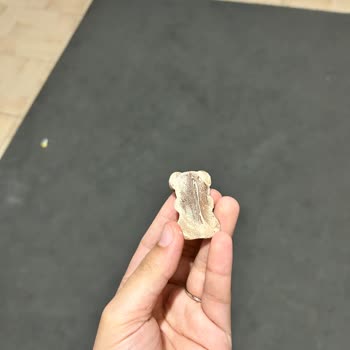 Eti Ayıcık Çikolata Bozuk Çıktı