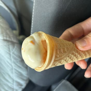 Roko Dondurma Kahve Dondurmanın İçerisinden Kıl Çıkması