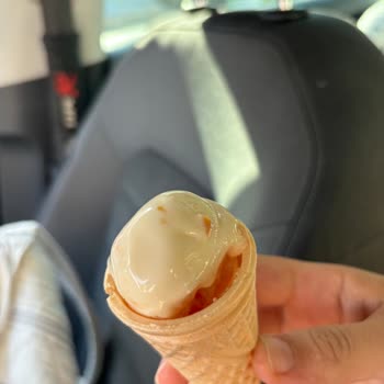 Roko Dondurma Kahve Dondurmanın İçerisinden Kıl Çıkması