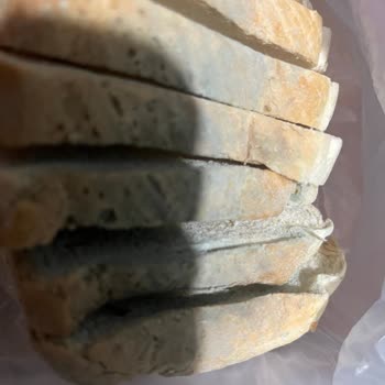 Küflü UNO Büyük Tost Ekmeği Çocuklar Tarafından Tüketildi Ve Sağlık Endişesi Yaratıyor