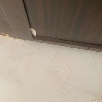 Zorla Eve Giren Kargo Görevlisinin Şiddeti Ve Çocuk Mağduriyeti