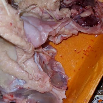 Migros'tan Kalçalı But Ürünü Yanıltıcı Ve İadesi Yapılmadı