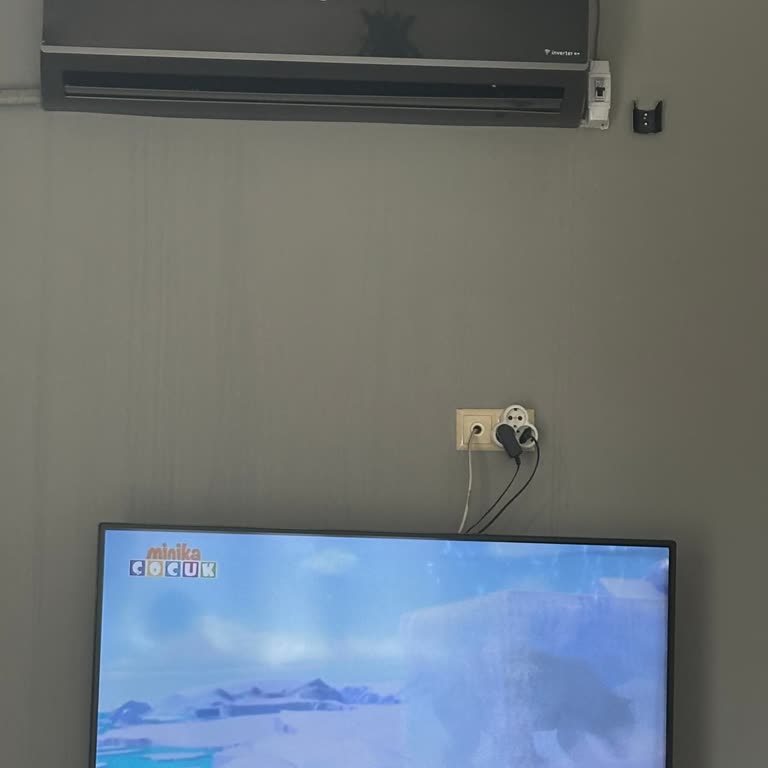 Adana'daki Vestel Yetkili Servisinin Randevu Sorunları Ve İlgisizliği