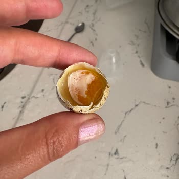 Son Kullanma Tarihi Geçmemiş Bıldırcın Yumurtası A101'de Bozulmuş