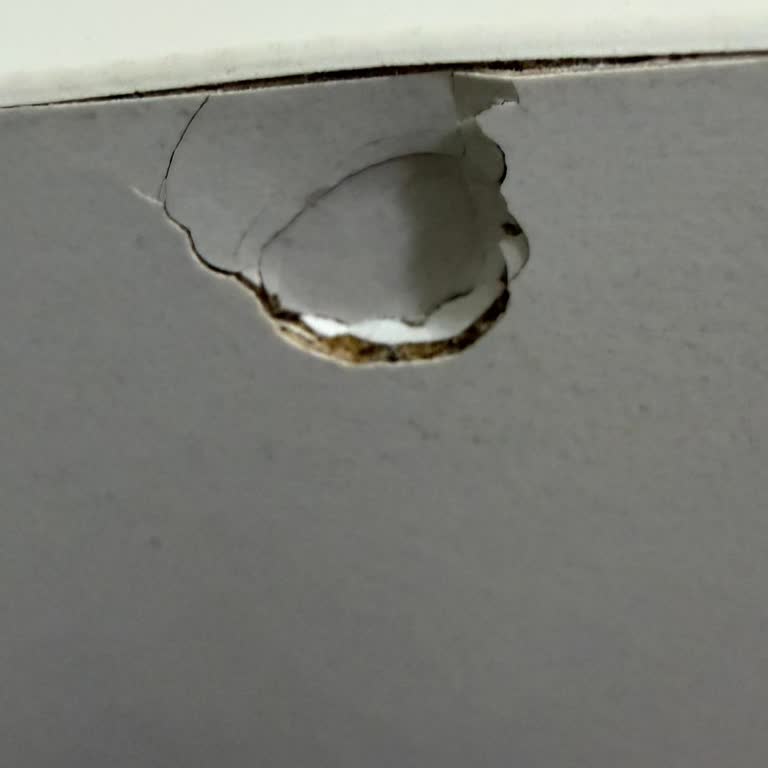 Horoz Lojistik’te Kargom 15 Gün Şubede Bekliyor, Teslim Edilmiyor