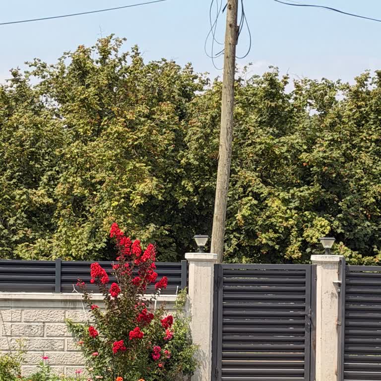 Kapı Girişini Engelleyen Direğin Kaldırılması İçin Yıllardır Çözüm Bekliyoruz
