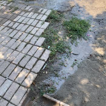 Elazığ Otağ Sokak’ta Sürekli Su Patlağı Ve Belediye Yanıtsızlığı