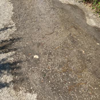 Elazığ Otağ Sokak’ta Sürekli Su Patlağı Ve Belediye Yanıtsızlığı