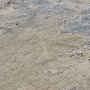 Güzelçamlı Mahallesindeki Yol Çukurlu Ve Taşlı, Acil Onarım Gerekiyor