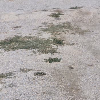 Güzelçamlı Mahallesindeki Yol Çukurlu Ve Taşlı, Acil Onarım Gerekiyor
