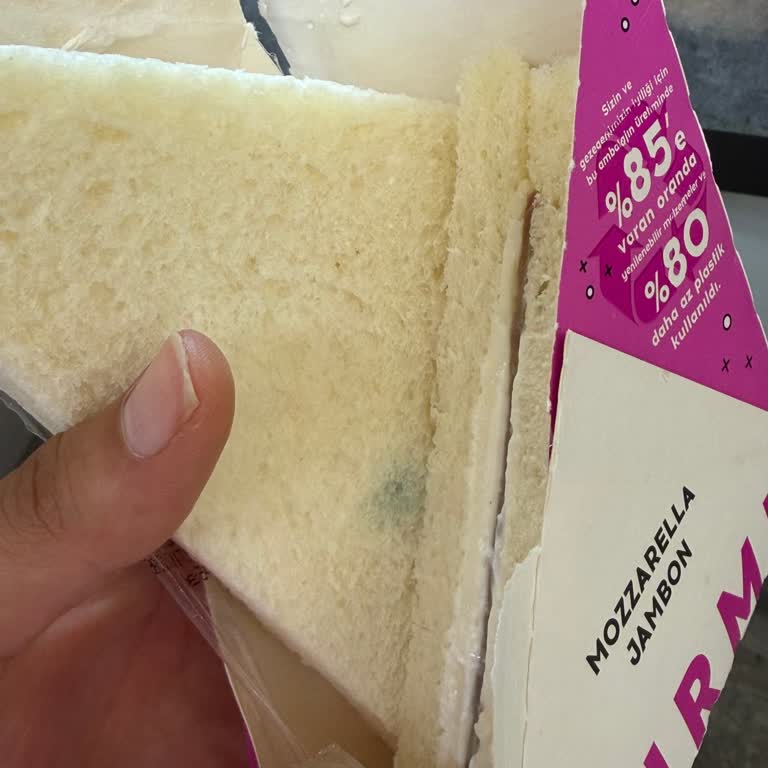 Migros Sandviçinde Mavi Yeşil Küf Lekeleri