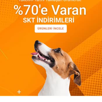 Kargo Gecikmesi Ve İletişimsizlik Nedeniyle Ödeme İadesi Talebi