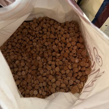 Kam Pet Food Köpek Mamasının Son Gelen Partisi Tamamen Bozuk Çıktı