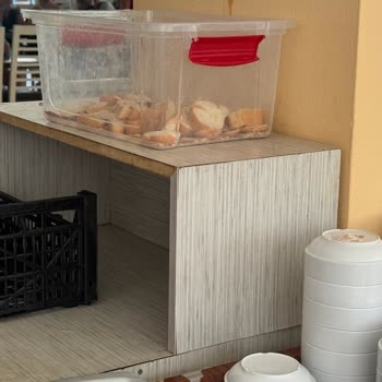 Otel Hijyen Aksaklığı, Çalışan İlgisizliği Ve Sağlık Riski