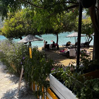 Eki aç
