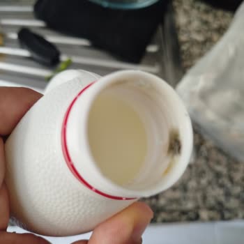 BİM’den Satın Aldığım Küflü Ve Süresi Geçmiş Dost Ayranı Hakkında Şikayet