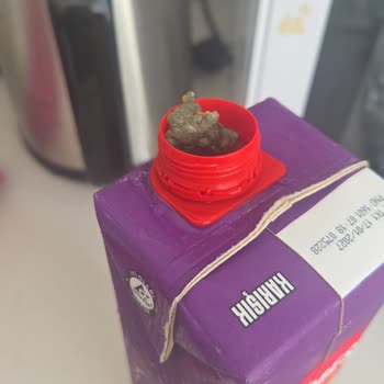 Cappy Meyve Suyu Kapakta Yabancı Maddeler Tespit Edildi Sağlık Endişesi